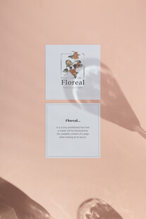 简约花卉主题护肤面膜包装