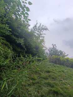 山间云雾缭绕的绿意景致