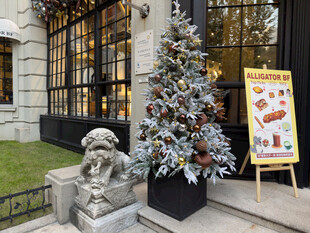 户外装饰的圣诞树场景