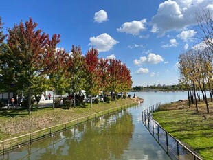 河畔秋色宜人风景如画