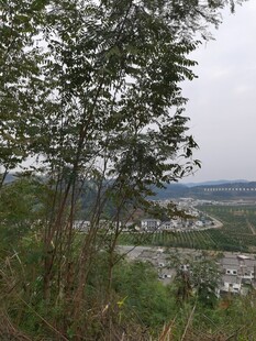 山间远景绿树掩映景色美