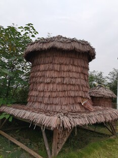 乡村传统茅草屋