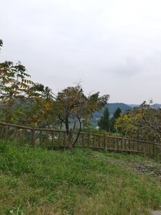 乡村田野风景