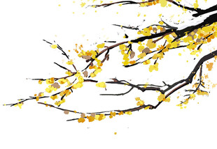 水墨风绽放的金黄花枝