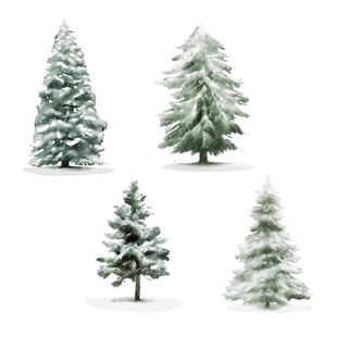 四棵覆雪圣诞树