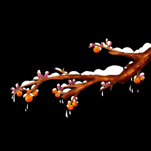 雪覆枝头柿子俏