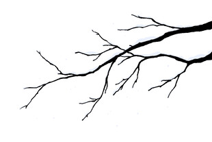 枯树枝条简洁黑白轮廓