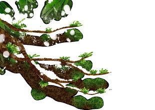 雪覆树枝绿意点缀景象