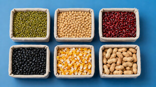 多样谷物豆类展示