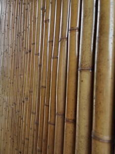 整齐排列的竹竿