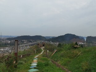 山间小径绿意盎然的景致