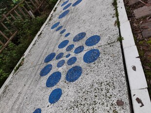 蓝点图案的户外水泥地面