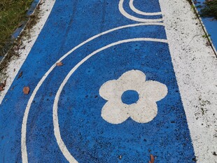 蓝色步道上的花朵图案