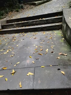 石阶落叶秋意悄然