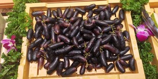 木盘里的黑紫色葡萄