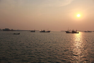 岚山大海边晚霞映照大海轮船帆船