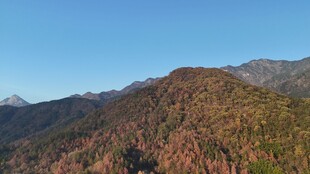 秋日斑斓山峦美景