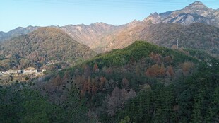 山峦叠翠的自然风光