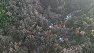 俯瞰山林间的隐秘溪流