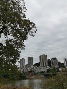 河畔城市风景