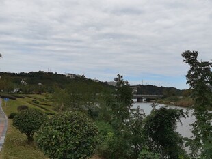 湖畔小径旁的绿植与远景