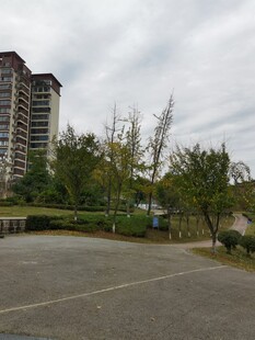 小区外的开阔停车区域