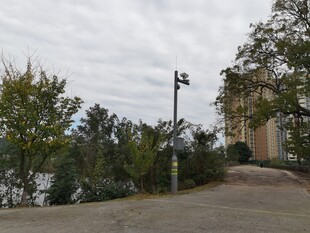 户外道路旁的树木与路灯