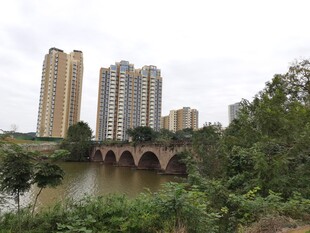 河畔高楼与石桥风景