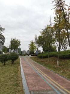 秋日公园中的多彩步道