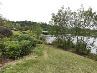 湖畔绿意小径景观