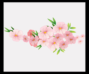 粉色樱花花枝插画
