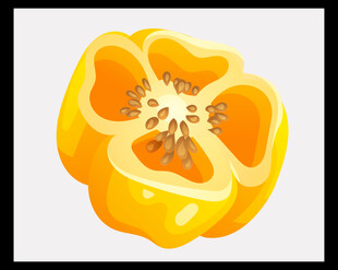 现代都市海港等距建筑景观