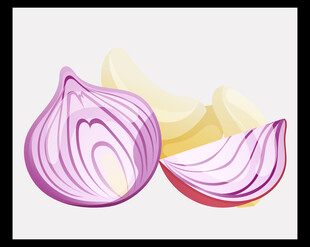 紫皮洋葱切片特写