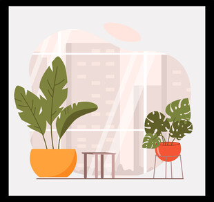 室内绿植装饰场景