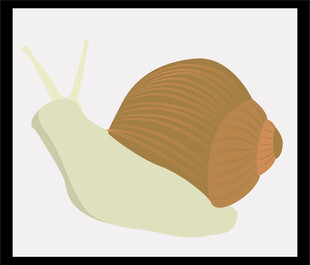 卡通风格的棕色蜗牛形象