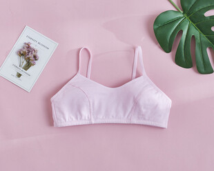 粉色少女风简约内衣展示