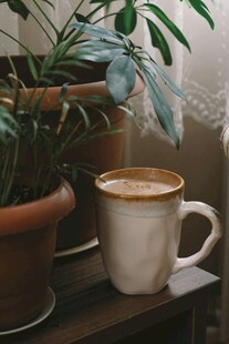 咖啡与绿植营造惬意氛围