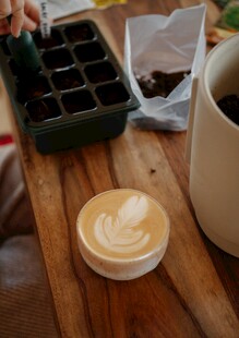 手作咖啡与绿植种植时刻