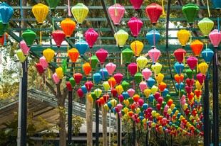 彩色灯笼装点的美丽长廊