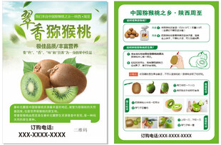 猕猴桃  奇异果宣传页设计展示