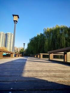 河畔木栈道的静谧风光