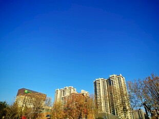 秋日蓝天映衬下的高楼