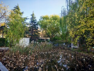 秋日园林落叶景致