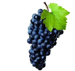 葡萄