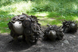 泥地里的奇特树木造型