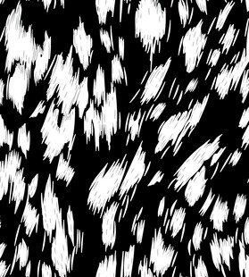 黑白抽象纹理图案