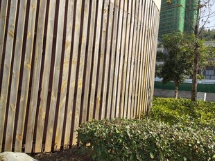 木质围栏旁的绿植景观