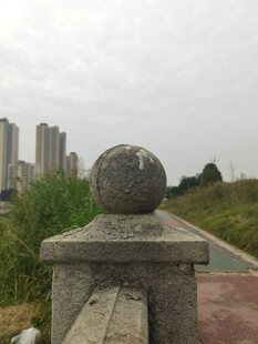 石球景观背景高楼绿植