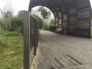 木质长廊漫步道