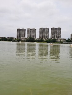 湖畔高楼倒影 惠州风景